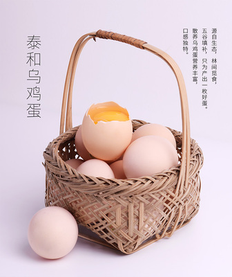 必要商城 大牌品質(zhì)與工廠價(jià)格的家禽養(yǎng)殖新選擇